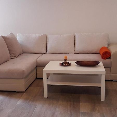 Apartment Nena- Apartman Sa Posebnim Ulazom U Prizemlju, Terasom I Zelenom Okucnicom Rakotule Luaran gambar