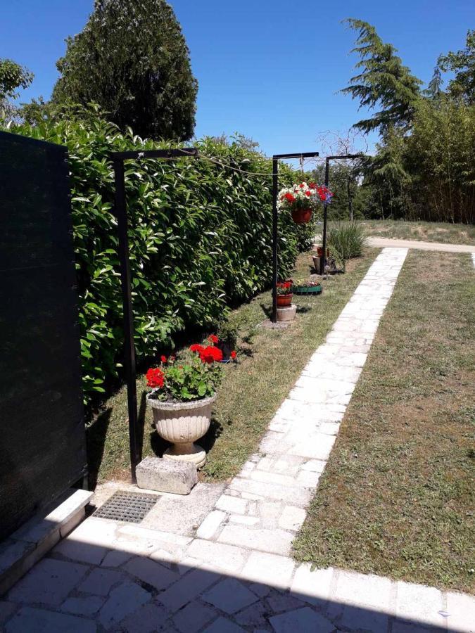 Apartment Nena- Apartman Sa Posebnim Ulazom U Prizemlju, Terasom I Zelenom Okucnicom Rakotule Luaran gambar