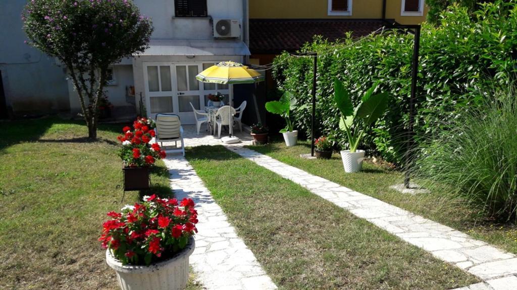 Apartment Nena- Apartman Sa Posebnim Ulazom U Prizemlju, Terasom I Zelenom Okucnicom Rakotule Luaran gambar